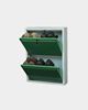 Picture of STAR CHAIRS Metal 4 Pair Shoe Rack Green | Wall-mountable SC 2-4